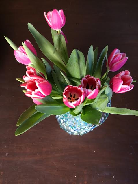 tulips